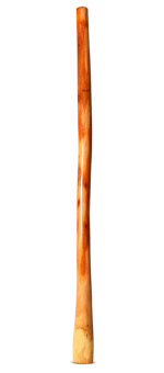 Ironbark Didgeridoo (IB269)